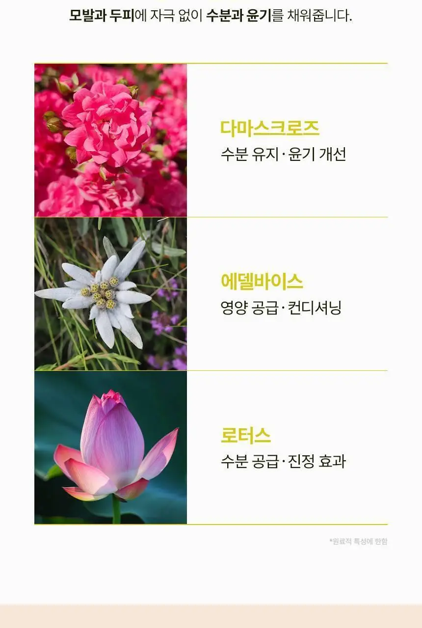 [열보호] 커리쉴 모이스처 글로우 헤어 에센스 70ml 상세페이지 13